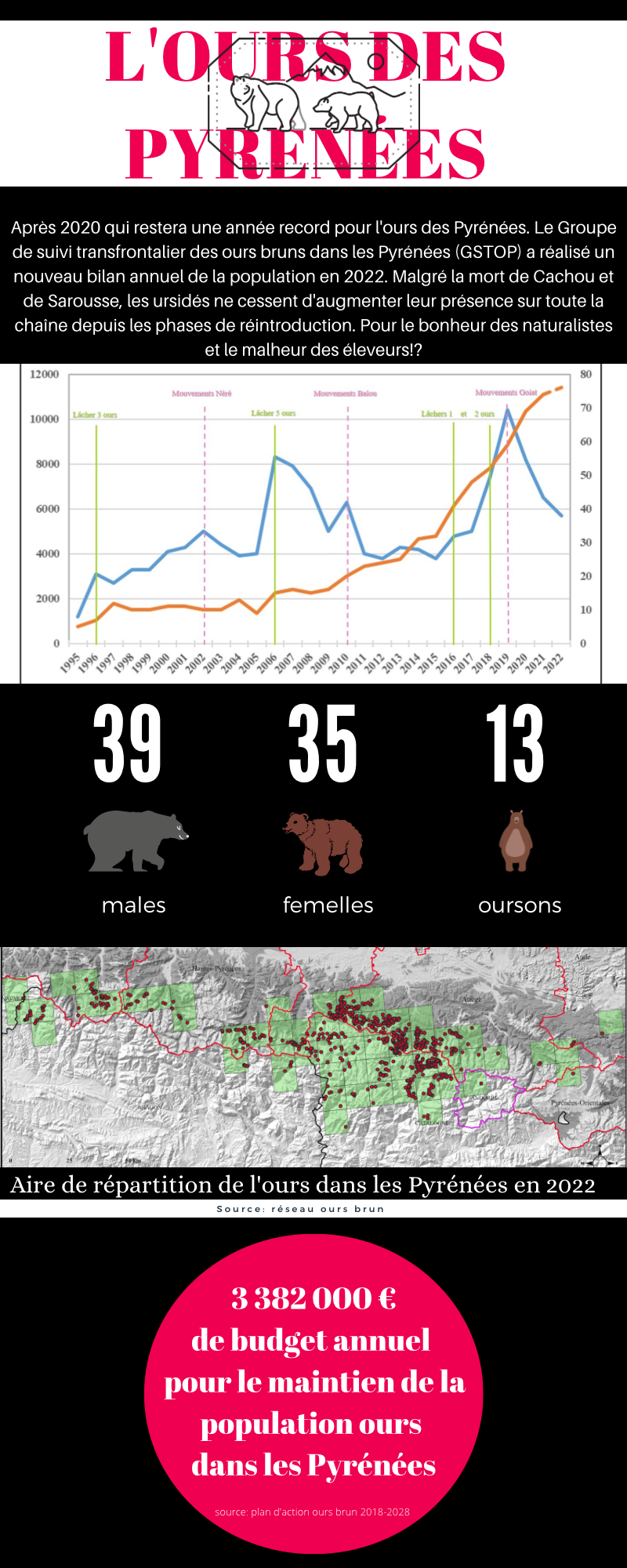infographie ours pyrénéen